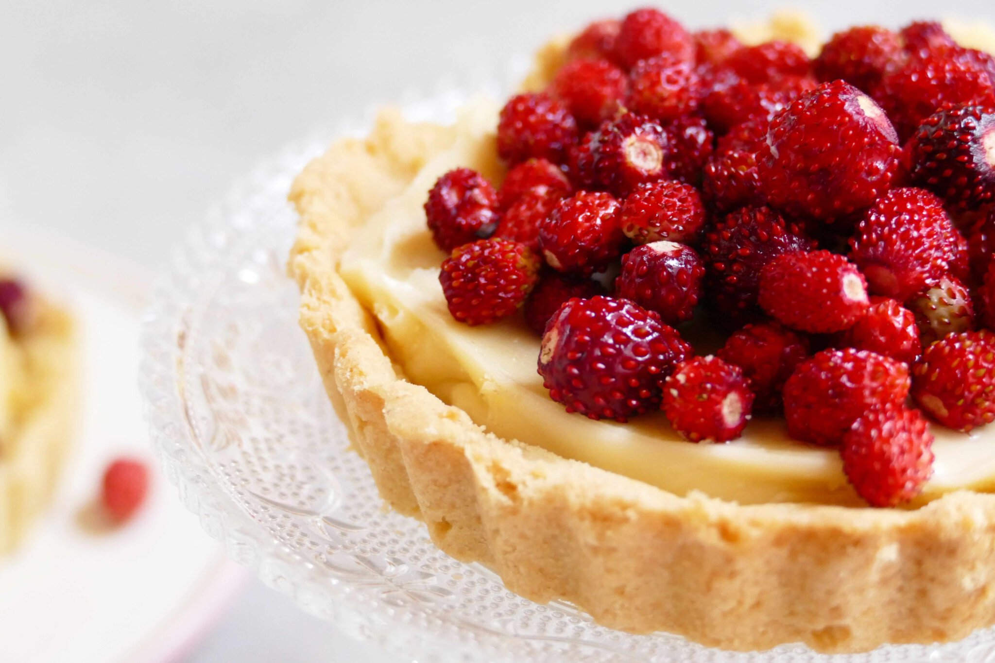 Walderdbeertörtchen mit weißer Schokoladencreme Walderdbeertörtchen mit weißer Schokoladencreme