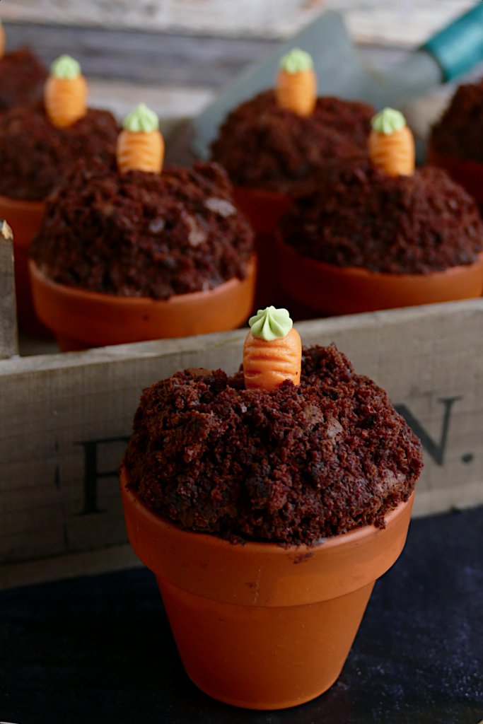 Schokoladenmuffins im Terracotta-Blumentopf