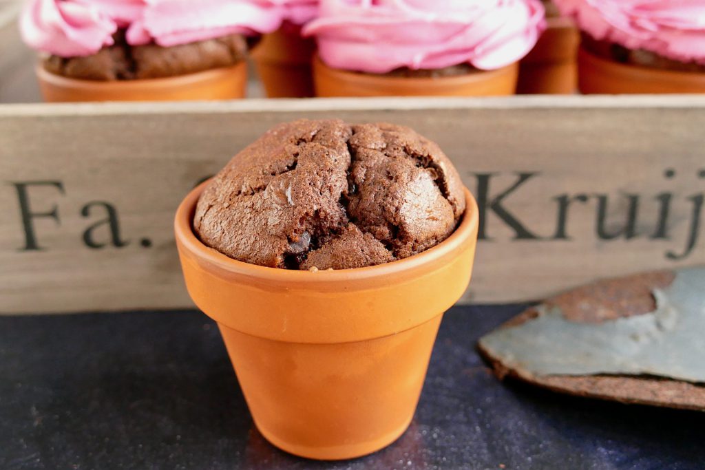 Rosen Cupcakes Schokomuffins mit Rosen-Topping im Terracotta Blumentopf