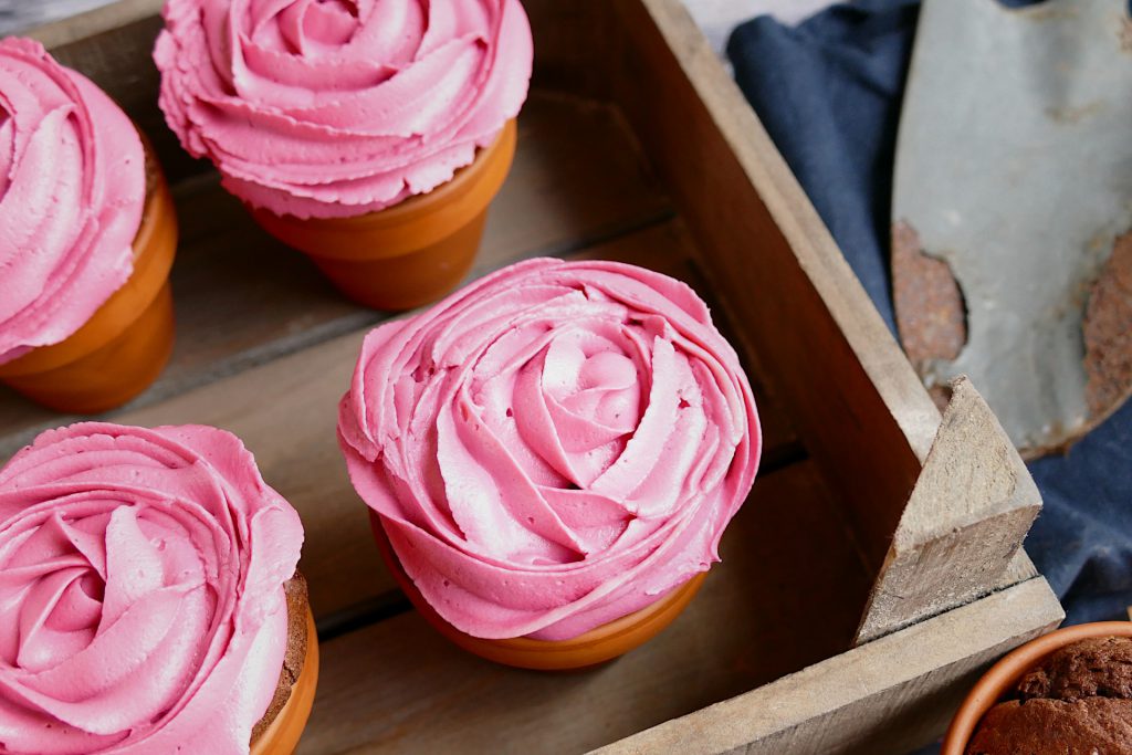 Rosen Cupcakes Schokomuffins mit Rosen-Topping im Terracotta Blumentopf