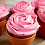 Rosen Cupcakes Schokomuffins mit Rosen-Topping im Terracotta Blumentopf