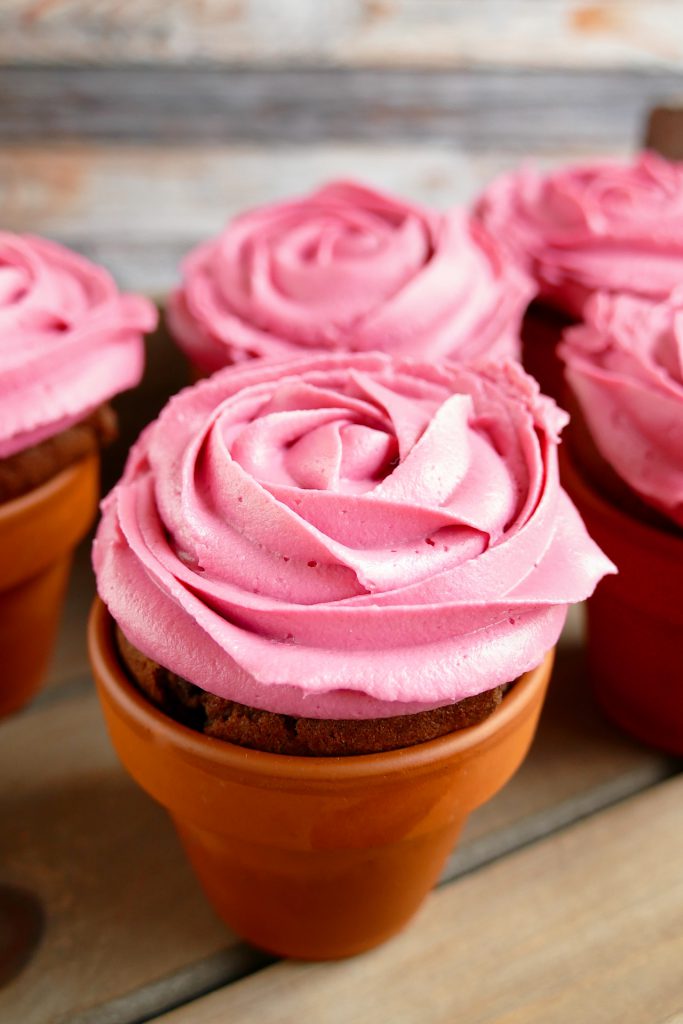 Rosen Cupcakes Schokomuffins mit Rosen-Topping im Terracotta Blumentopf