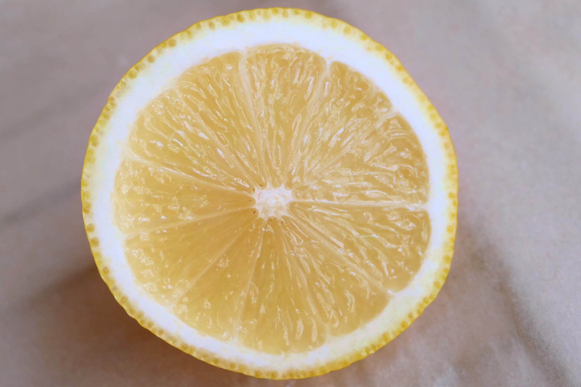 Zitrone Zitronenscheibe